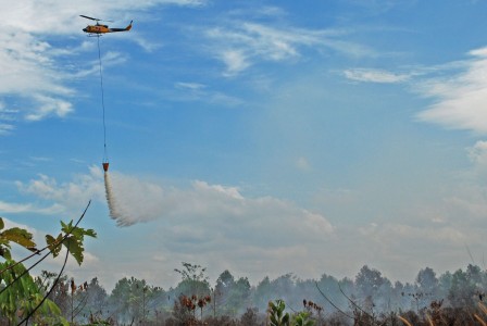 Menggagas Sanksi Pidana Bagi Korporasi