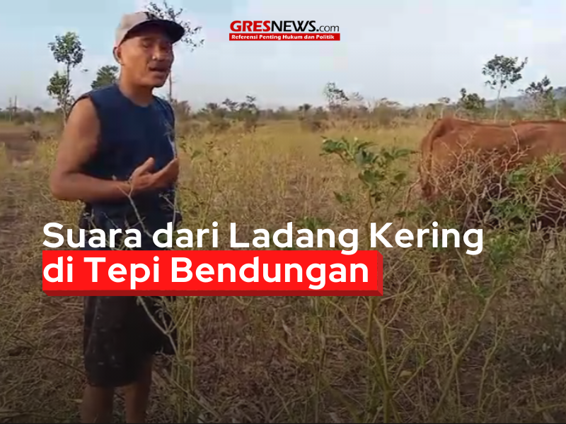 Yateno Subandio, petani Kampung Bongkoran, Dusun Karangrejo Selatan, Desa Wongsorejo, Banyuwangi resahj. Tanaman cabai, tumpuan hidupnya nyaris mati karena kekeringan.