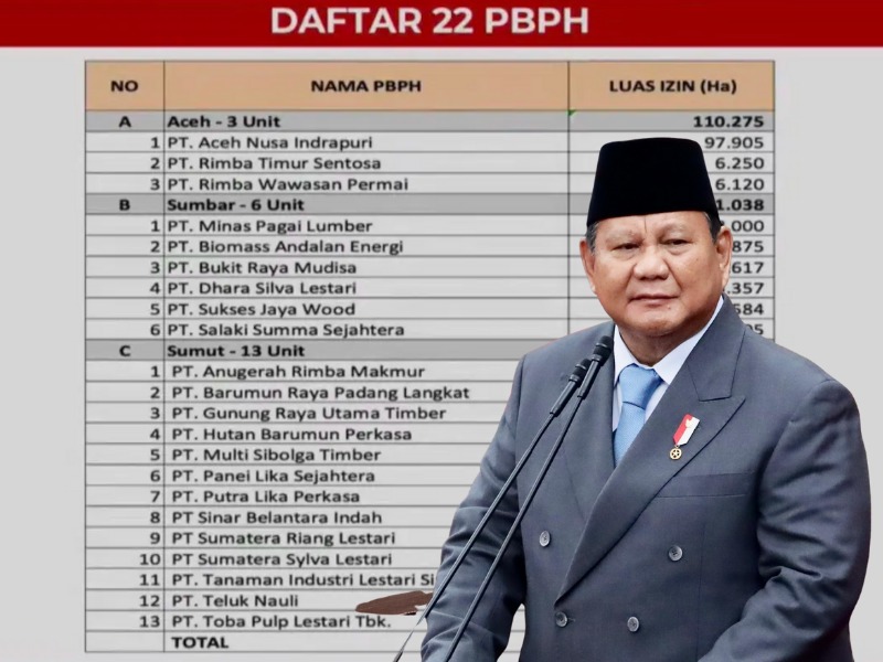 Ilustrasi Presiden Prabowo Subianto.