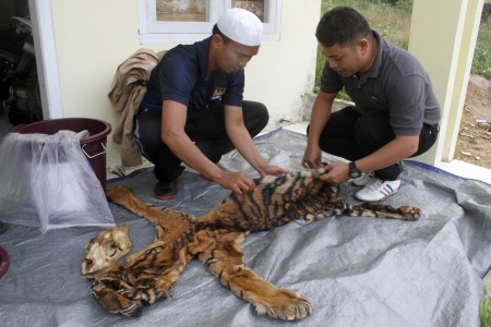 FOTO: Perdagangan Satwa Liar Ilegal Diungkap